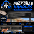 Discovery 2 Grab Handles